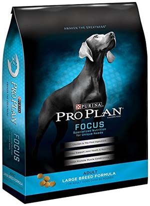 101 World S Most Popular Dog Food Brands Top Dog Tips