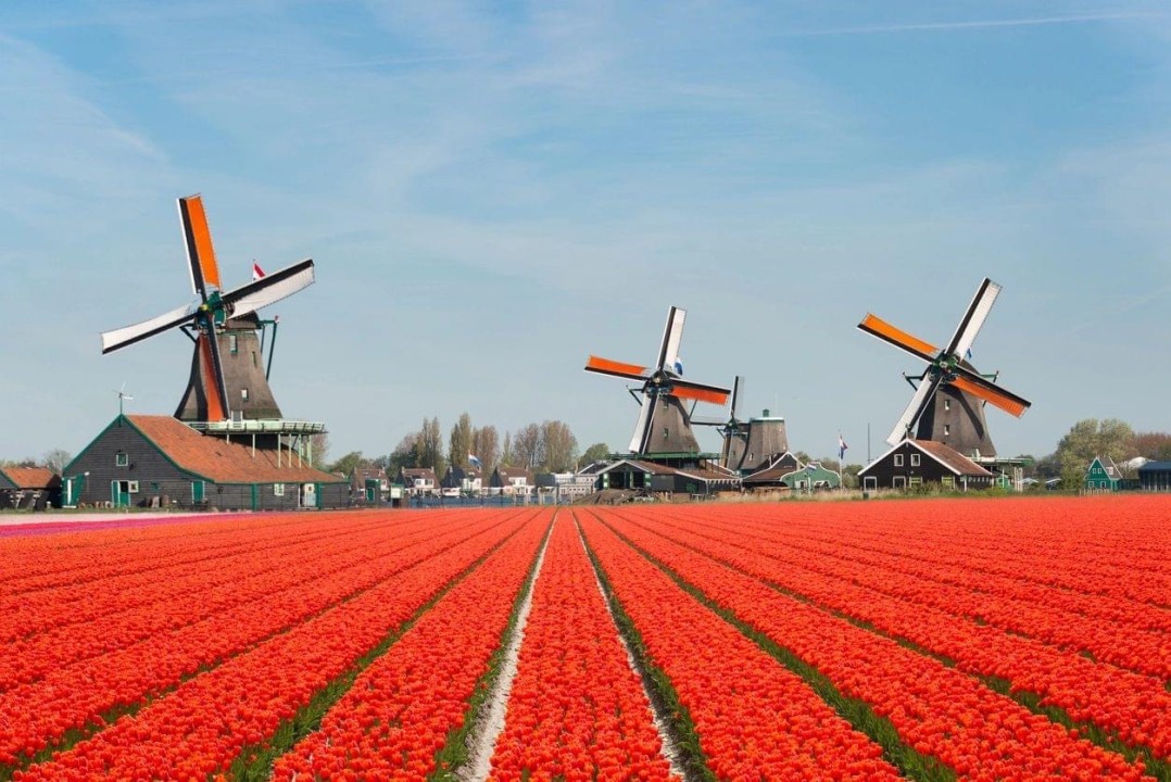 12+ Amsterdam Flight Deals Everyday