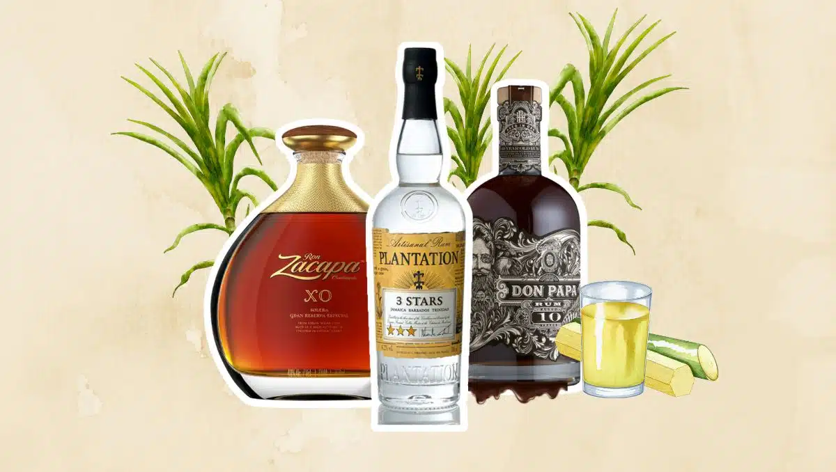 13 Best Rum Brands 2024 What Rum Bottles To Buy Right Now