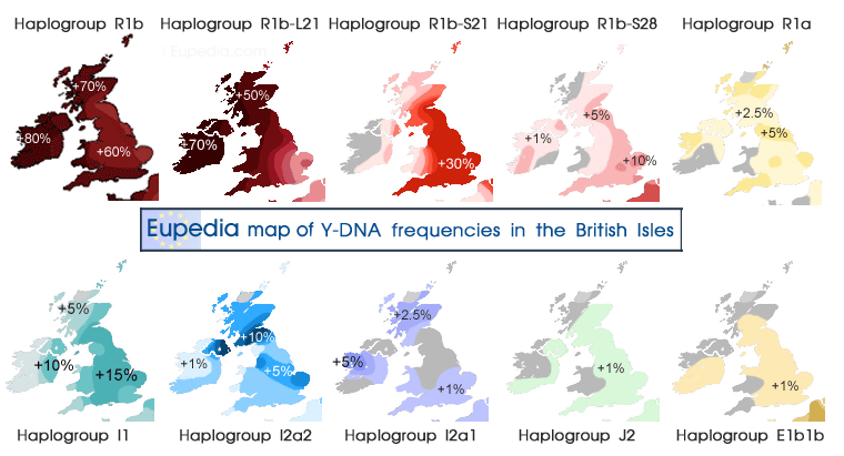 Britain's Genetic Journey: A Fascinating Historical Adventure - Empower ...