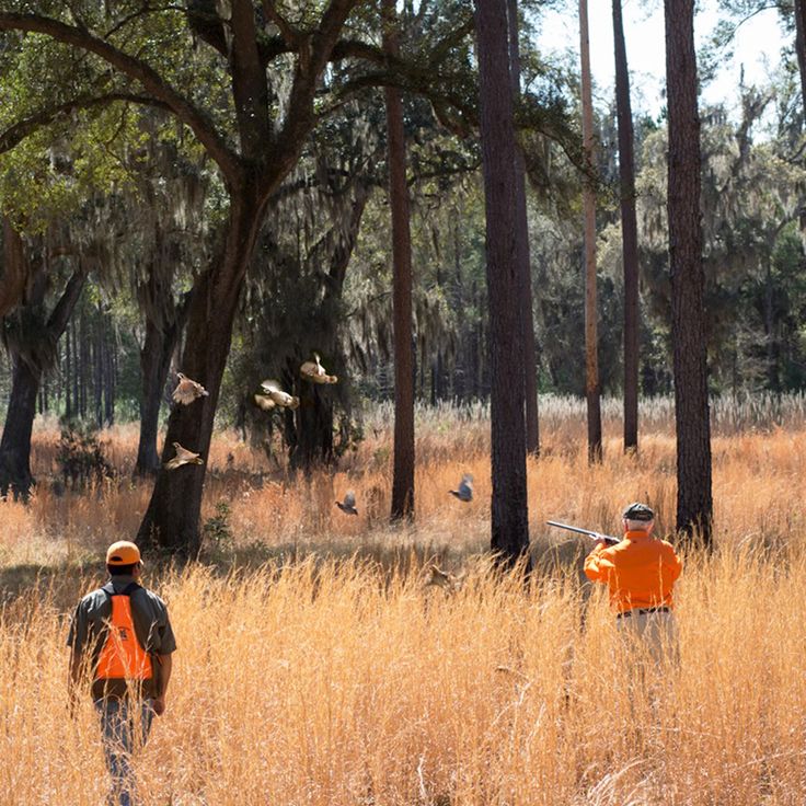 Dorchester Shooting Preserve Official Georgia Tourism Travel