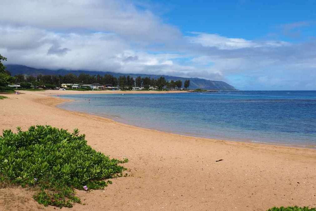 Haleiwa Hawaii Travel Guide