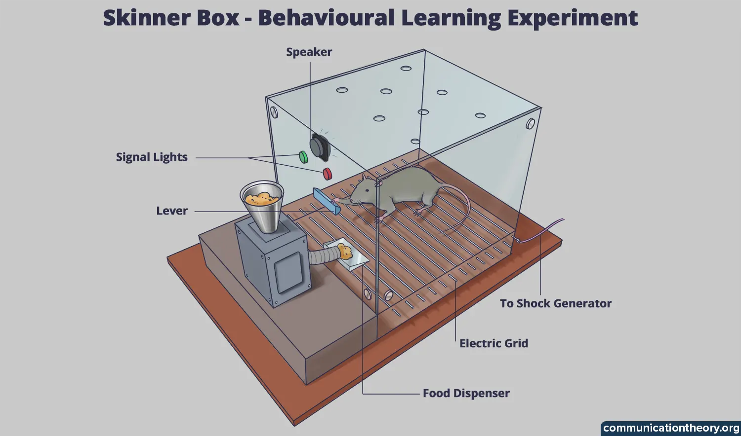 Operant Conditioning B F Skinner S Theory Examples