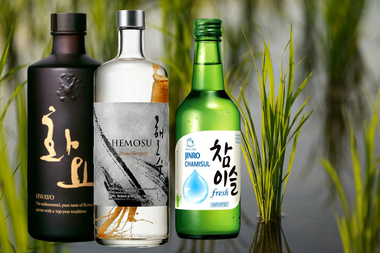 Soju Brands: Top Recommendations