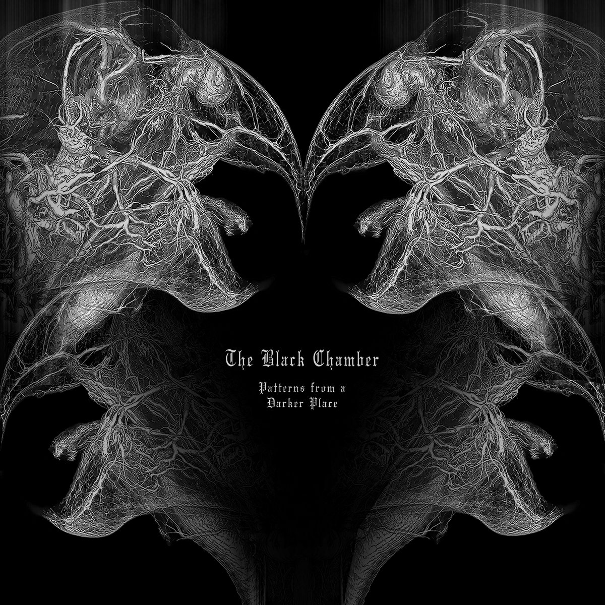 The Black Chamber Patterns From A Darker Place Konsequent Records