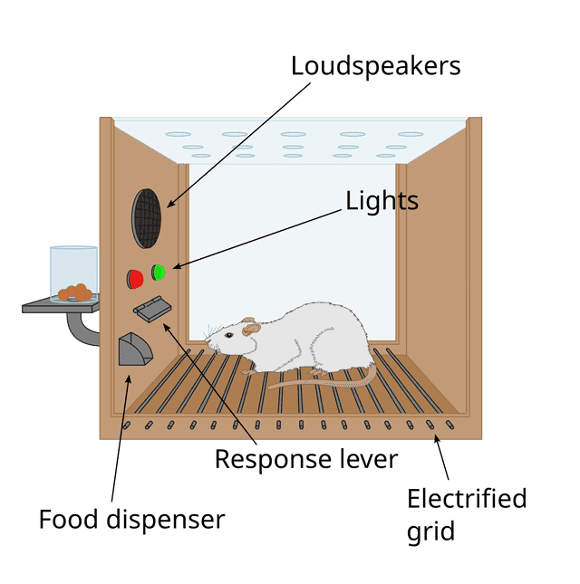 What Is Operant Chamber? Conditioning Guide